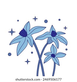 Minimalistic cartoon illustration of three narcissus buds on a white background with stars. Elegant illustration with outline and fill in soft blue tones. Handmade drawing for decoration and printing.