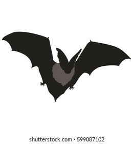 Minimalistic Cartoon Vector Illustration of Bat
