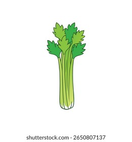 Minimalistic celery stalks with clean leaves and stem vector Vector illustration