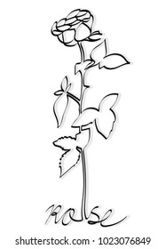 Minimalistic continuous one line drawing of a rose. Vector asset for logo.
