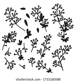 Elementos botánicos decorativos minimalistas para la marca y la decoración. Elementos lineales vectoriales florales para diseño, patrón, invitación, tarjeta, afiche, tarjeta de visita, volante. Ramas y hojas.