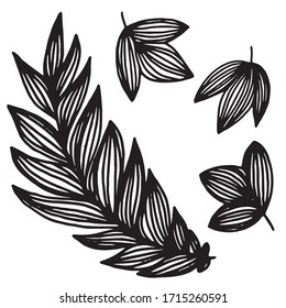 Elementos botánicos decorativos minimalistas para la marca y la decoración. Elementos lineales vectoriales florales para diseño, patrón, invitación, tarjeta, afiche, tarjeta de visita, volante. Ramas y hojas.
