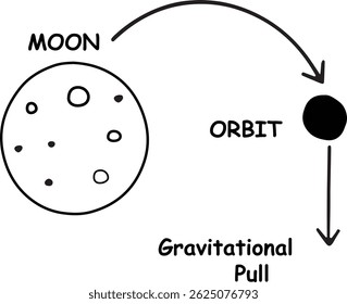 Minimalistic Diagram of the Moon's Orbit Around Earth with Gravitational Pull - Simple, Clean Design with Educational Labels and Arrows for Physics Concept Illustration