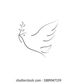 Minimalistic dove with branch vector outline illustration on white background