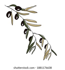 Minimalistic drawing of an olive branch, linear art