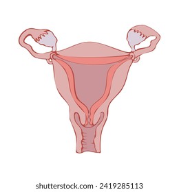 Minimalistic drawing of the uterus. Vector medical illustration