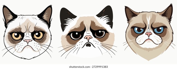 Minimalistic flat vector illustration in cartoon style with bold outline. Angry cat face with frowning eyebrows. For creative projects, dislike of morning, humorous situations