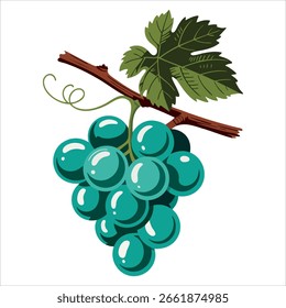 Minimalistische, flache Vektorgrafik mit helltürkisfarbenen Trauben mit braunem Stiel und grünem Blatt. Perfekt für frisches Obst und natürliche Designprojekte
