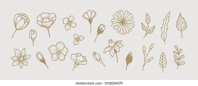 Minimalistic floral botanical elements, graphic drawing. Collection of flowers, buds and leaves. Tattoo designs. Vector illustration.