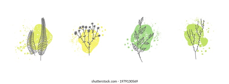 Minimalistic floral botanical elements on a background of colored shapes. Logo design templates in linear style. Collection abstract modern trendy vector illustration