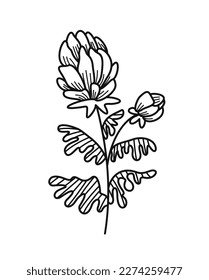 Minimalistic floral branch. Elegant field plant or blooming flower with leaves. Hand drawn icon. Design element for wedding invitation. Cartoon flat vector illustration isolated on white background