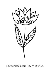 Minimalistic floral branch. Hand drawn sticker with beautiful elegant lily. Gardening and floristry. Organic Design element for logo. Cartoon flat vector illustration isolated on white background