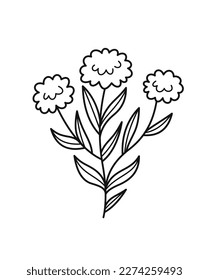 Minimalistic floral branch. Hand drawn icon with dandelion buds. Flowering field plant, weed or grass. Organic Design element for logo. Cartoon flat vector illustration isolated on white background