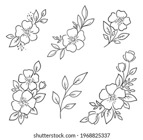Minimalistic floral decorative elements. For the design of postcards, invitations, stickers, minimal tattoos. Set of natural flower drawings, vector illustration.