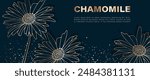 Minimalistic floral design with golden chamomile or calendula flower. Floral background for text, cards, posters or banners