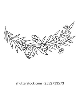 Minimalistic floral elements. Minimal boho floral frames and bouquets, organic decorative simple minimalistic floral icons. Vector isolated icon on white background.
