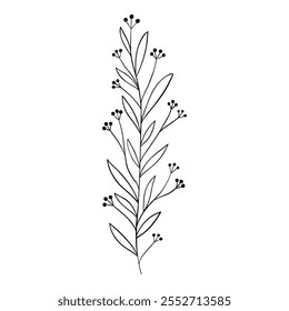 Minimalistic floral elements. Minimal boho floral frames and bouquets, organic decorative simple minimalistic floral icons. Vector isolated icon on white background.