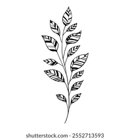 Elementos florales minimalistas. Marcos y ramos florales boho mínimos, iconos florales minimalistas simples decorativos orgánicos. Vector aislado icono sobre fondo blanco.