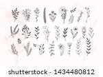 minimalistic flower graphic sketch drawing, trendy tiny tattoo design, floral botanic elements vector illustration