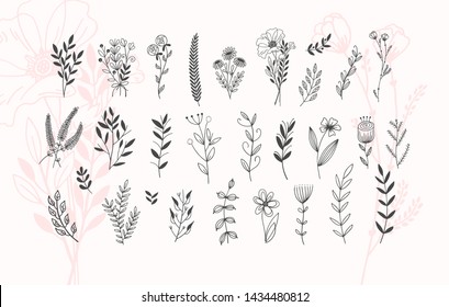 minimalistic flower graphic sketch drawing, trendy tiny tattoo design, floral botanic elements vector illustration