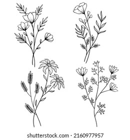 Minimalistic flower graphic sketch drawing. Blooming plants and branches with leaves, floral botanic elements vector illustration