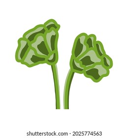 Flor minimalista. Dibujado a mano. Ilustración del vector