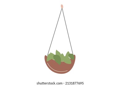 Minimalistic flower  in a hanging pot. House plant in trendy colors, ornamental flowerpot. Vector illustration in flat cartoon style isolated on white background