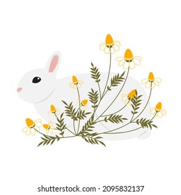 Minimalistic gray rabbit in wild flowers daisies drawn in the style of doodle. Color vector hand drawn line art. Illustration for posters and postcards