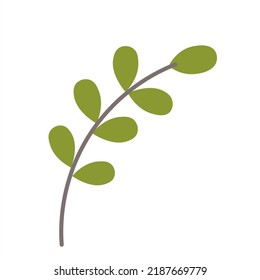 Minimalistic green branch. Green branch with leaves vector illustration isolated on white background. Abstract flat style.