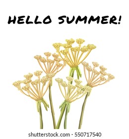 a minimalistic greeting card; a simple flower poster; a floral illustration; hand drawn design elements; a vector post card; hello summer