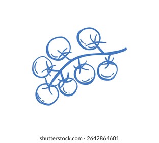Minimalistic hand-drawn illustration of a cherry tomato branch, with a Mediterranean rustic touch. Great for culinary, organic food, or eco-friendly branding