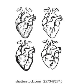 Minimalistic Human Heart Vector Illustration