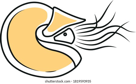 icono minimalista en forma de amonita