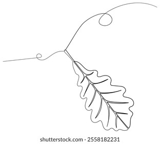 Minimalistic illustration of acorn leaf in black line art style. Design for post, poster, background, card