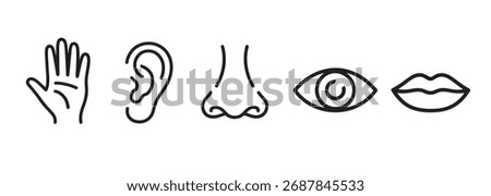 Minimalistic Illustration of Human Senses Touch Hearing Smell Sight and Taste