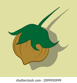 Minimalistic illustration of a vector acorn simple background in retro style. Cute cartoon nature drawing.