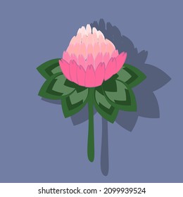 Minimalistic illustration of a vector flower. simple background in retro style. Cute cartoon nature drawing.