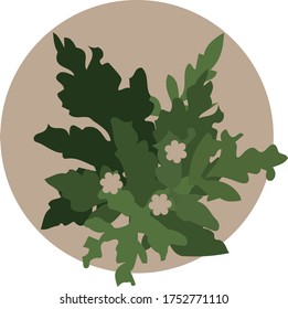 Minimalistic image of spring white flowers on a background of a gray circle. Simple beautiful plants consisting of figures. Decorative element, sticker or  presentation, website. EPS 10
