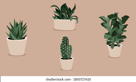 
Minimalistic indoor plants in pots for the interior.