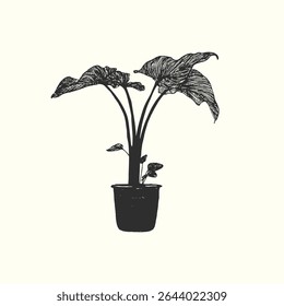 Minimalistic isolated indoor plant in a pot. Hand drawn Vector illustration. Card, poster, home decoration.