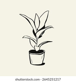 Minimalistic isolated indoor plant in a pot. Hand drawn Vector illustration. Card, poster, home decoration.