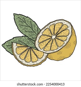 Minimalistic lemons with leaves. Lined vector art.