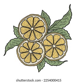 Minimalistic lemons with leaves. Lined vector art.