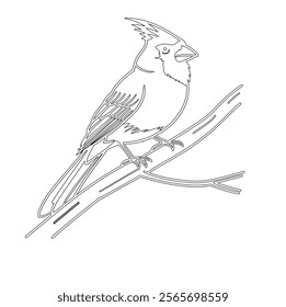 Minimalistic line art of a bird perched on a branch, featuring intricate feather details and a sleek design. Perfect for use in logos, prints, or nature-inspired designs.