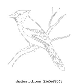 Minimalistic line art of a bird perched on a branch, featuring intricate feather details and a sleek design. Perfect for use in logos, prints, or nature-inspired designs.