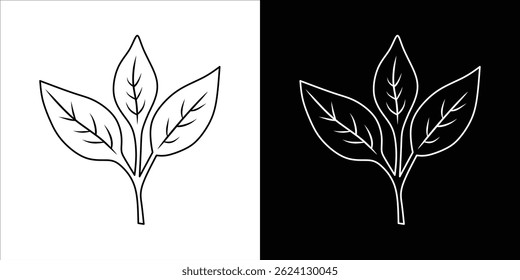 Minimalistic Line Art of a Leaf on Black and White Background