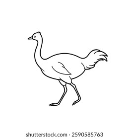 A minimalistic line drawing of a rhea bird walking. The bird has a long neck and legs with a simple feathered tail, depicted in a clean, sketch-style illustration