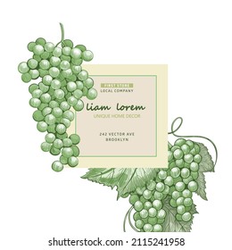 Diseño de etiqueta natural minimalista con uvas de boceto, identidad de marca vectorial para paquete, placa, tarjeta. Ilustración vintage grabada de racimos de uva. Marco de la etiqueta de la naturaleza dibujado a mano con uvas de boceto.