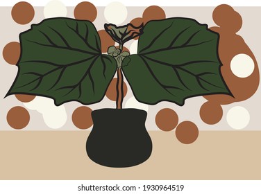 minimalistic nature abstract design illustration