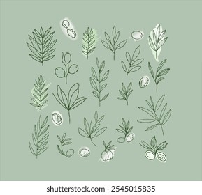 Minimalistic olive branch botanical set. Leaves and olive branches on a green background. Perfect for greeting cards, wedding invitations, wall art, logos, and decorative projects.
